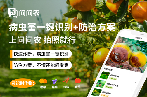 专家实时互动