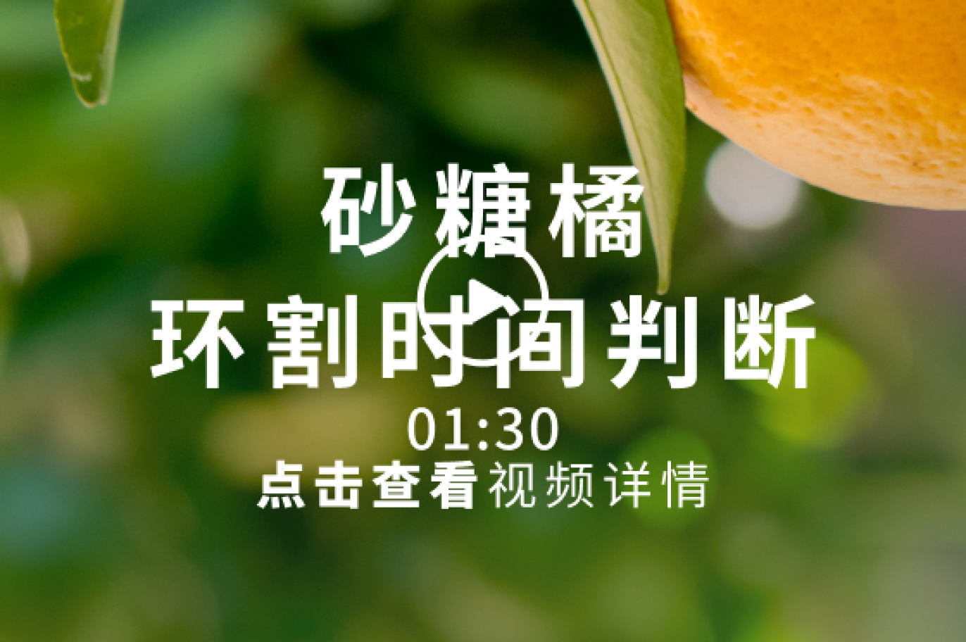 学习养护经验