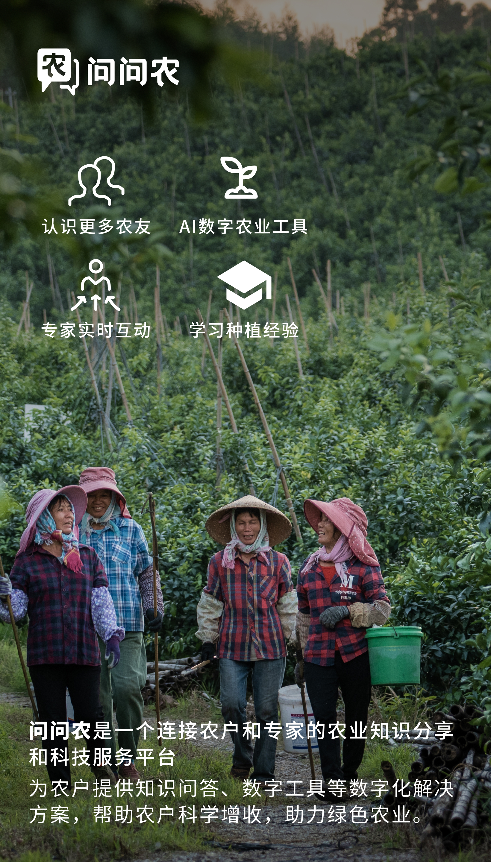 问问农