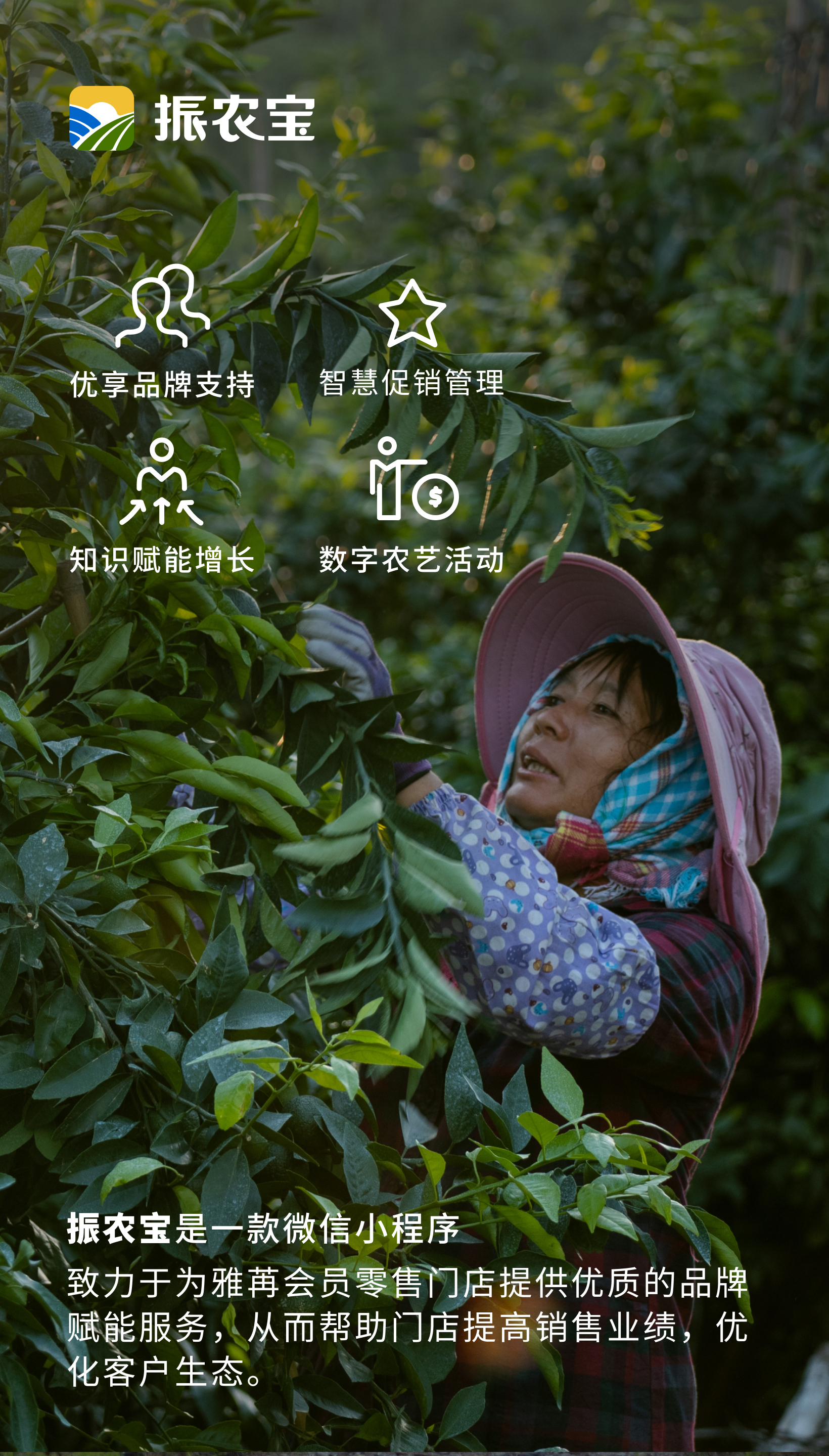 振农宝